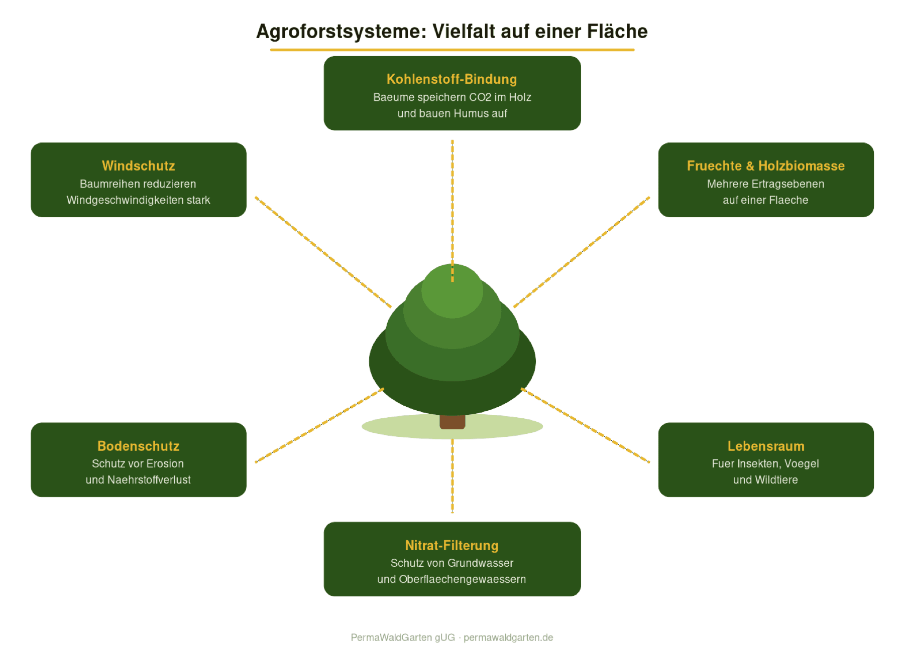 Schaubild: sechs Vorteile von Agroforstsystemen auf einer Fläche — Kohlenstoff-Bindung, Windschutz, Bodenschutz, Nitrat-Filterung, Lebensraum, Früchte & Holzbiomasse