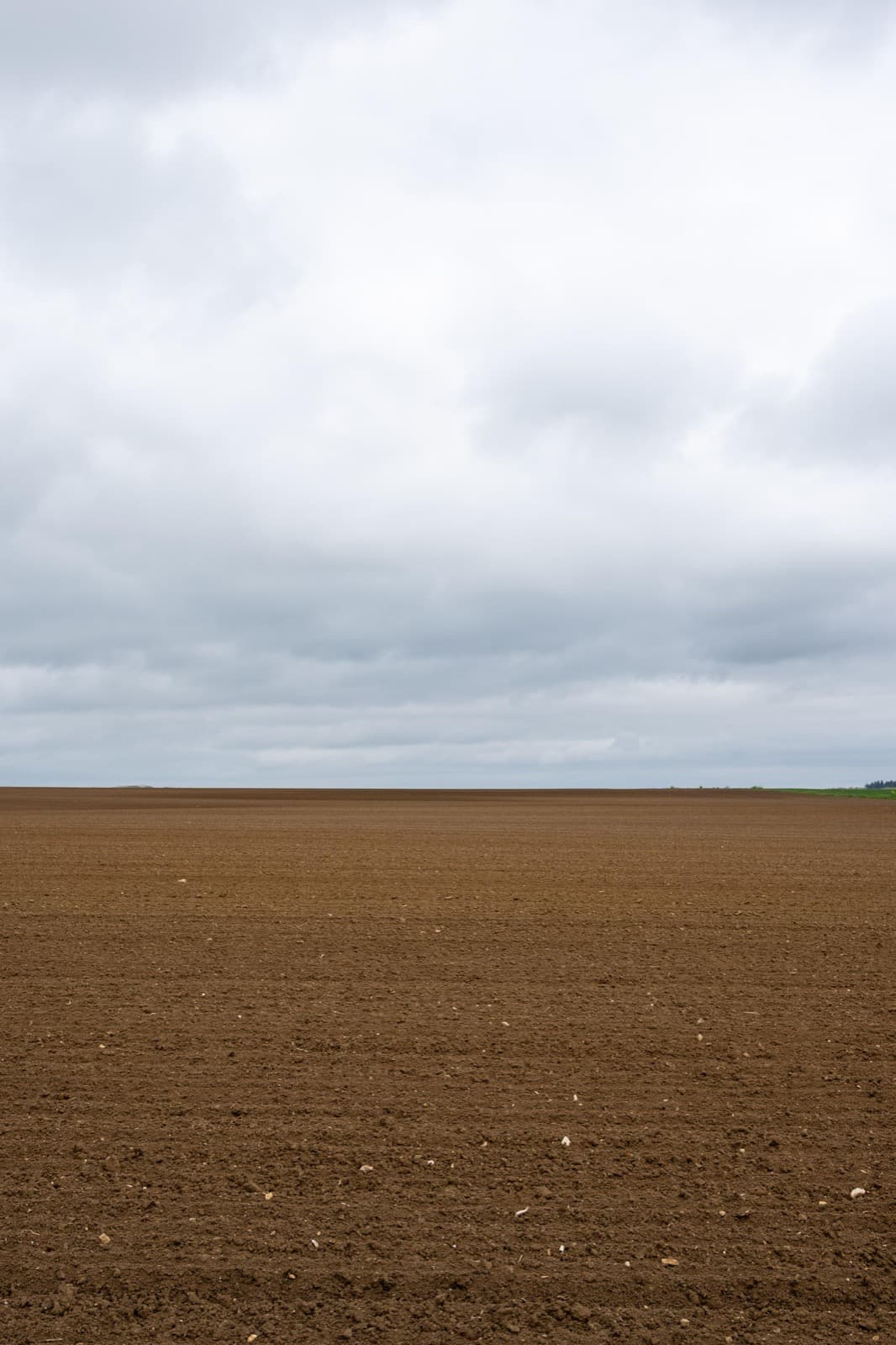 Frisch bearbeiteter Ackerboden mit sichtbarer Krümelstruktur bis zum Horizont