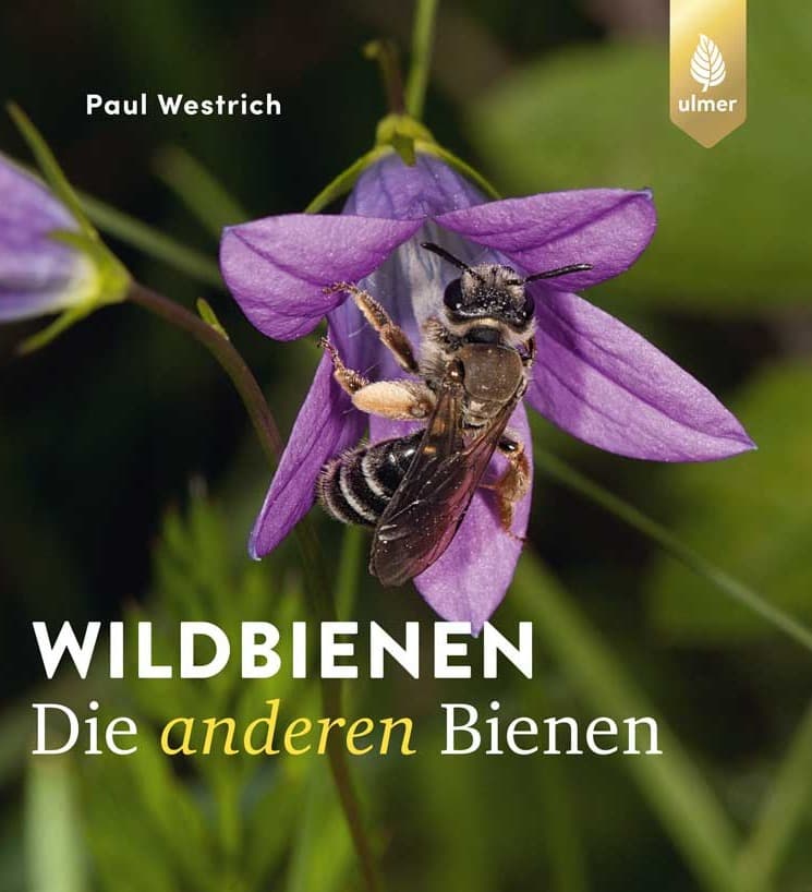 Buchcover: Wildbienen – Die anderen Bienen