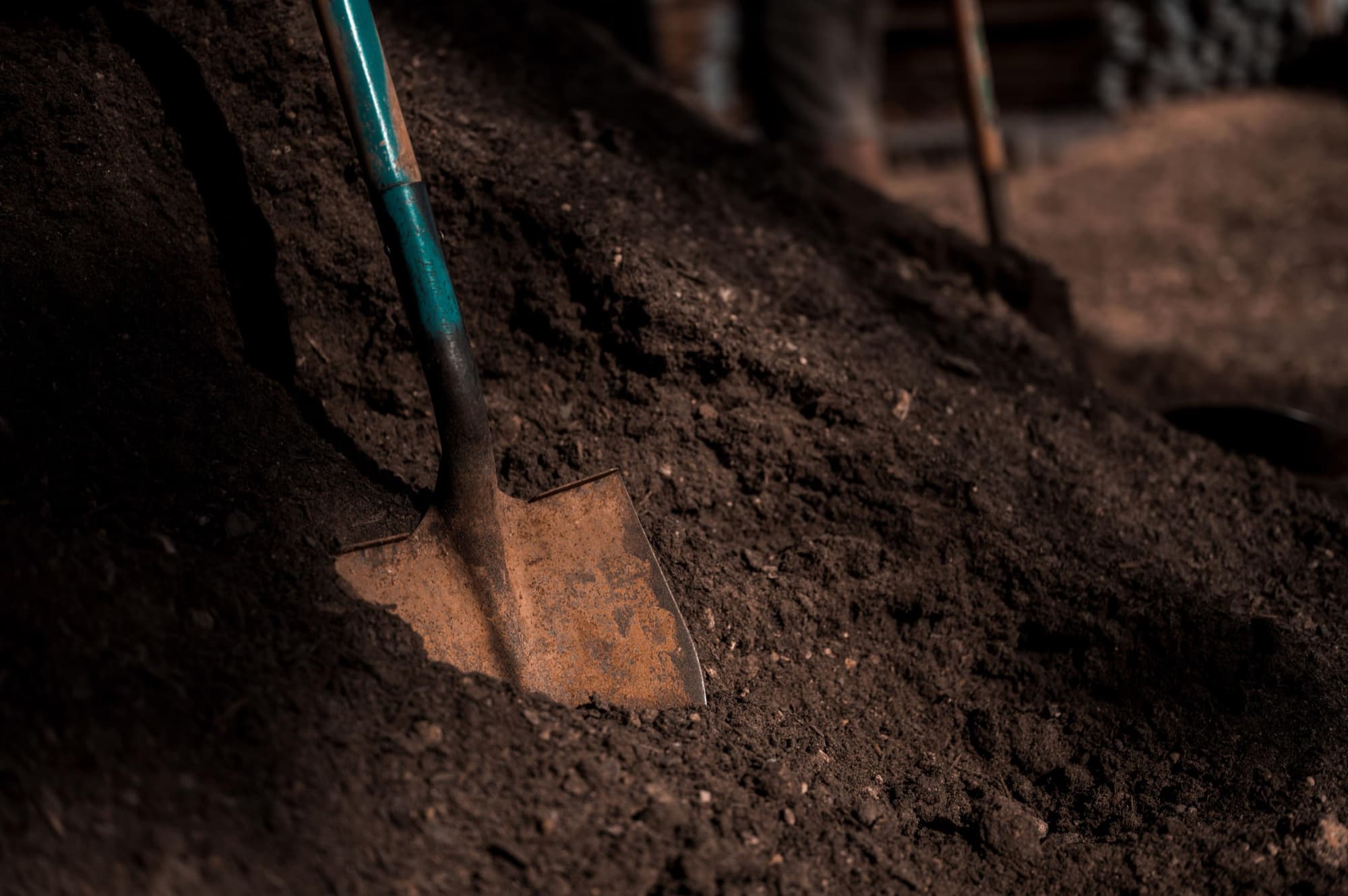 Boden
