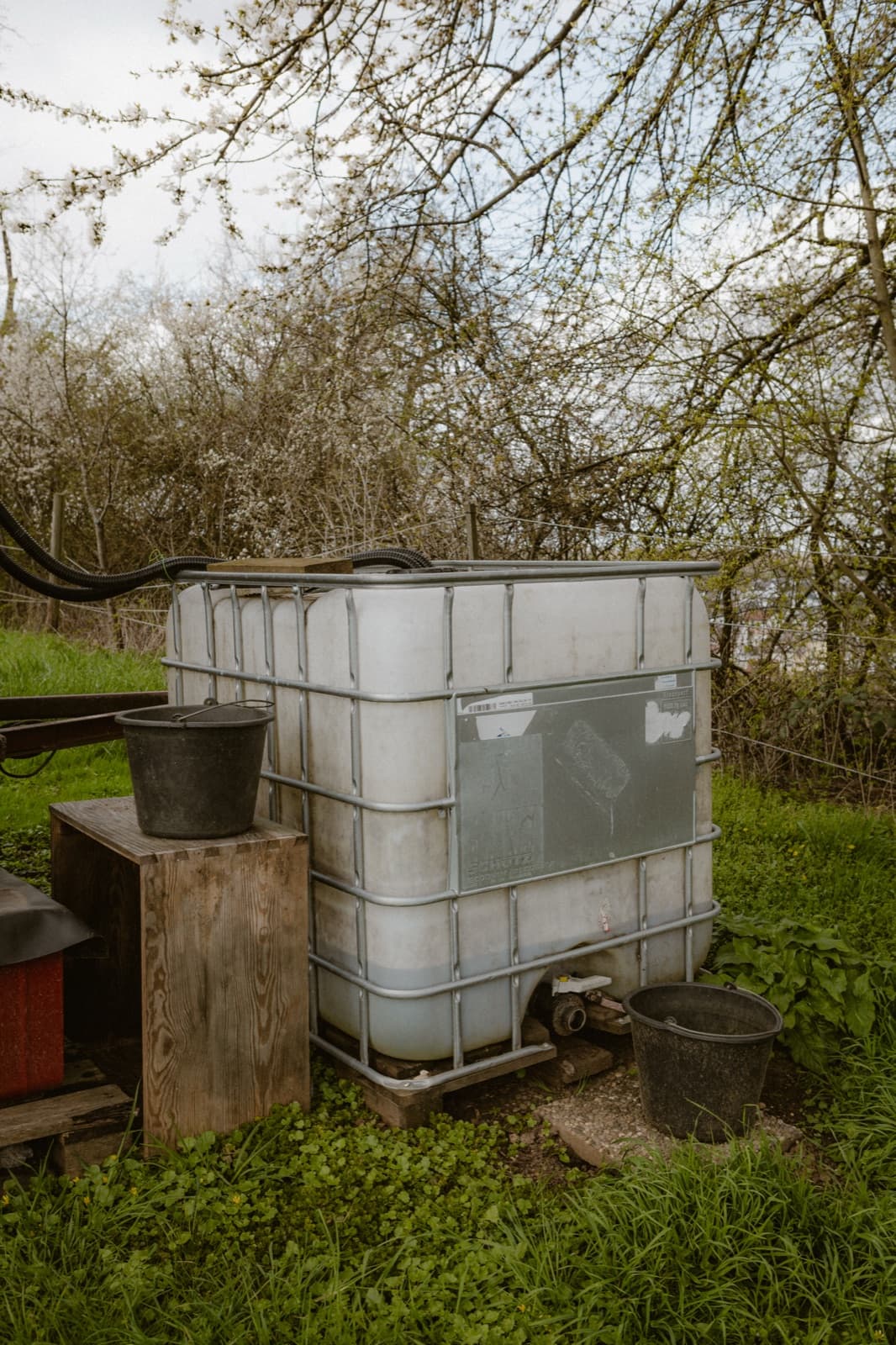 1.000-Liter-IBC-Container am Bauwagen sammelt Regenwasser für die Bewässerung junger Pflanzungen
