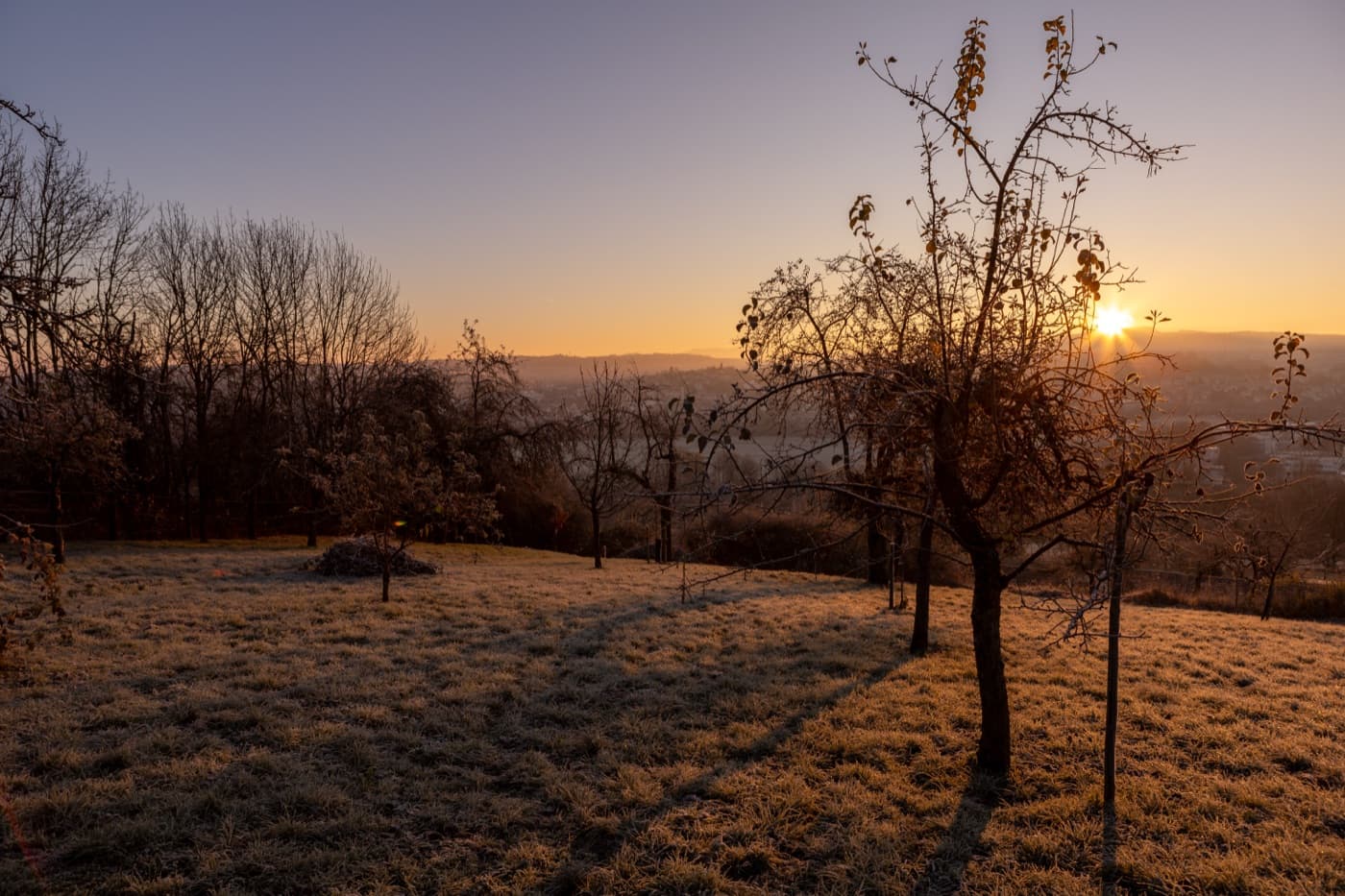 Sonnenaufgang über der silvopastoralen Streuobstwiese in Zizishausen mit Blick ins Tal
